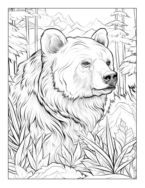 Bear Coloring Page 02