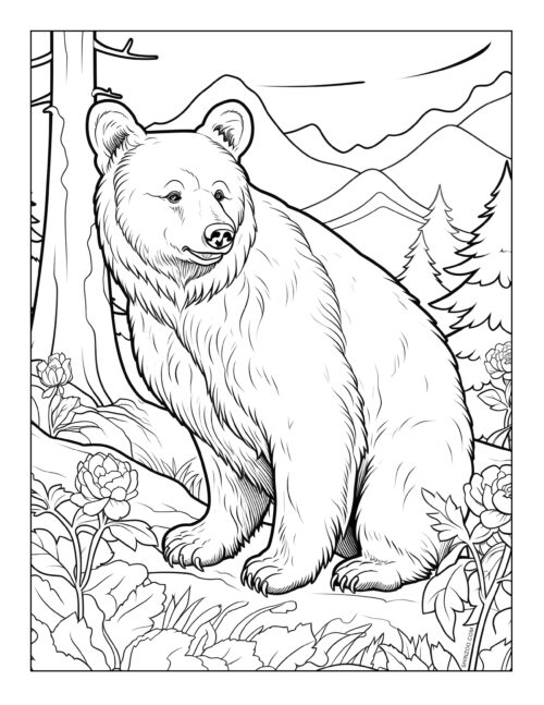 Bear Coloring Page 03