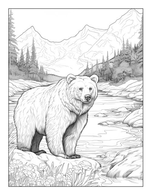 Bear Coloring Page 07