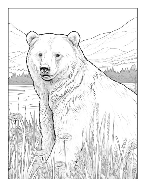 Bear Coloring Page 09
