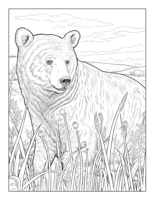 Bear Coloring Page 11
