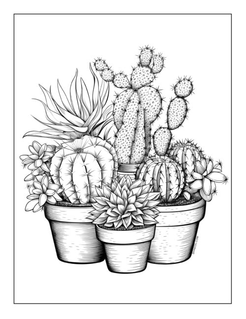 Download Cactus Coloring Sheet 04