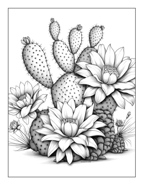Download Cactus Coloring Sheet 05