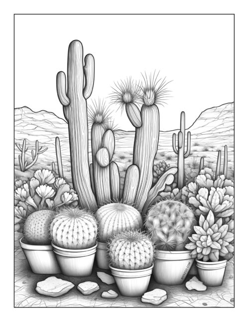 Cactus Coloring Sheet 06