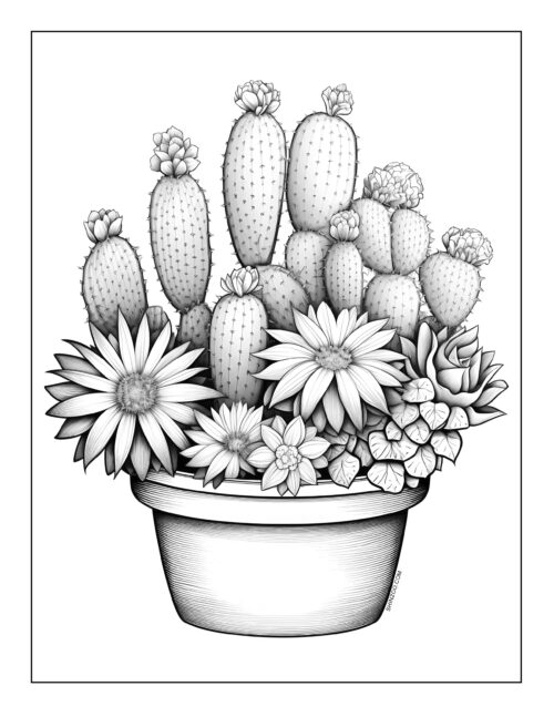 Cactus Coloring Sheet 07