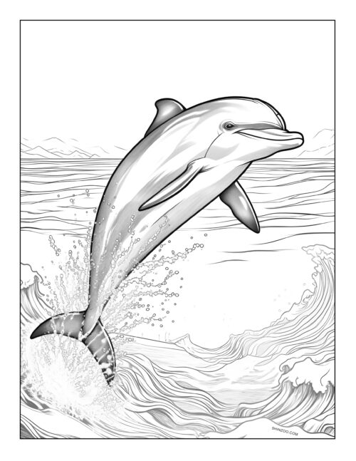 Dolphin Coloring Page 02