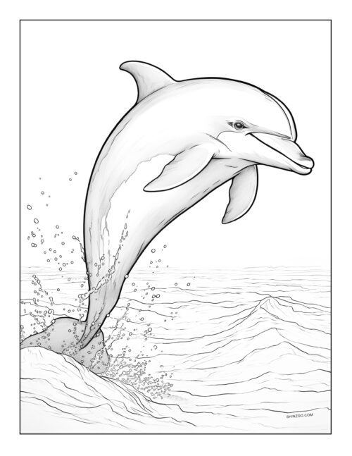 Dolphin Coloring Page 04