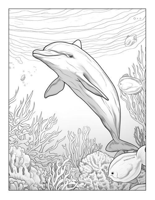 Dolphin Coloring Page 09