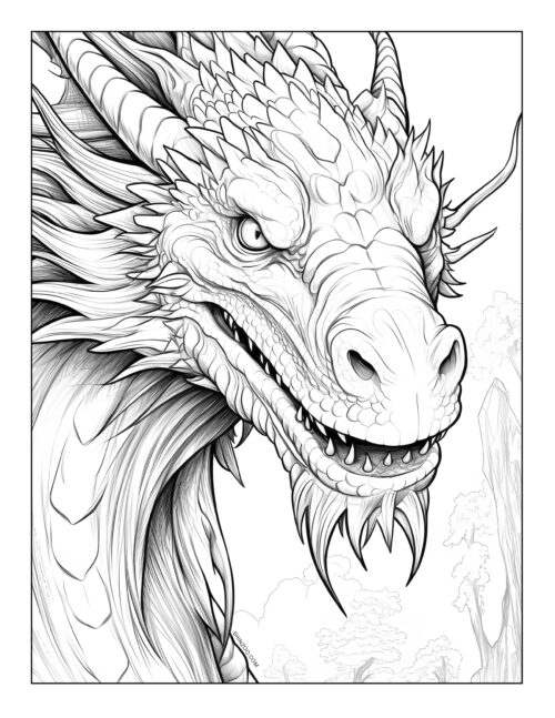 Dragon Coloring Sheet 01