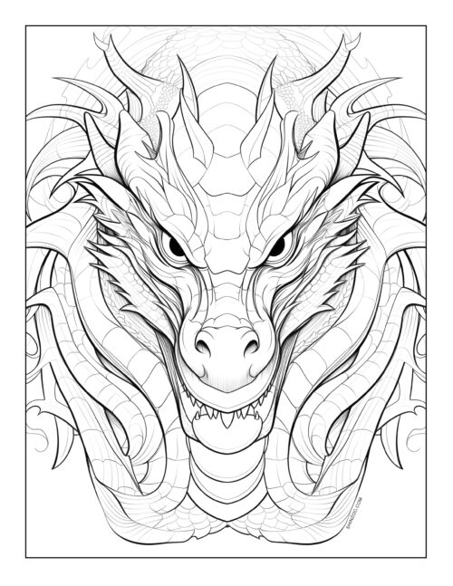 Dragon Coloring Sheet 08