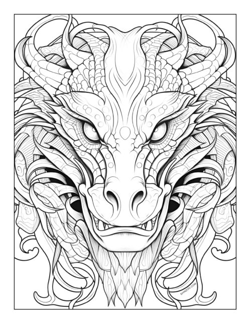 Dragon Coloring Sheet 09