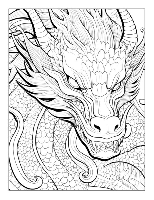 Dragon Coloring Sheet 11