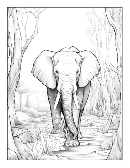 Elephant Coloring Pages 02
