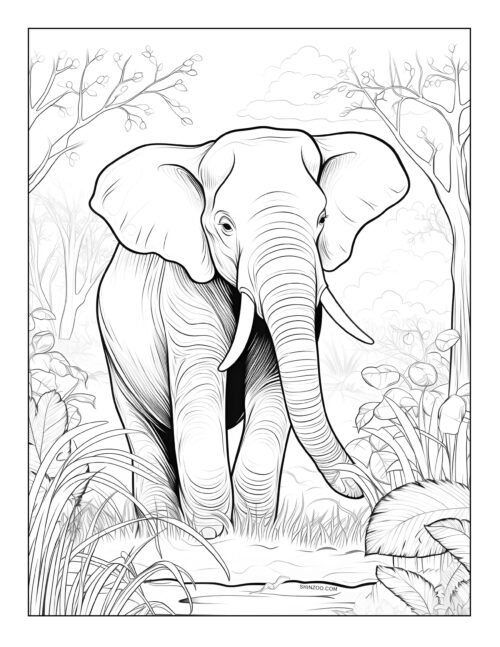Elephant Coloring Pages 03