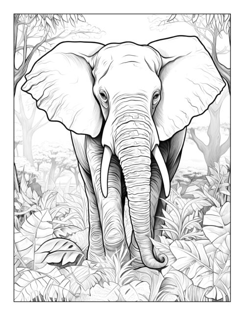Elephant Coloring Pages 04