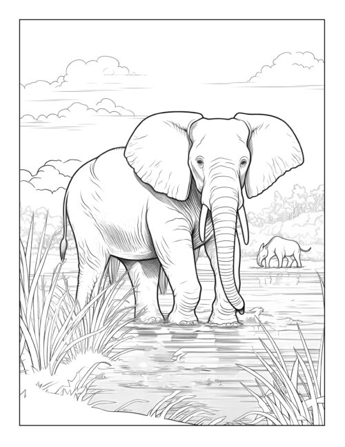 Elephant Coloring Pages 05