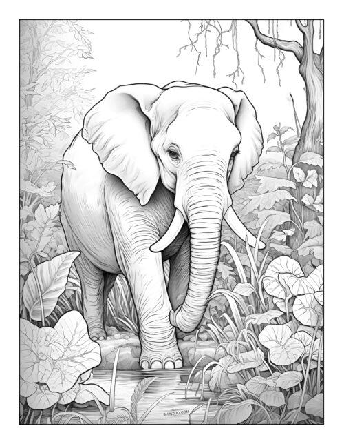 Elephant Coloring Pages 07