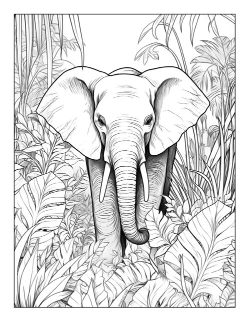 Elephant Coloring Pages 08