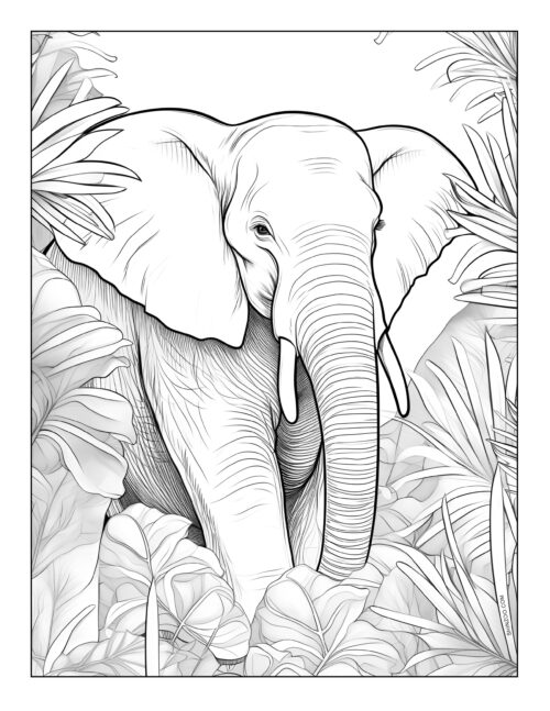 Elephant Coloring Pages 09