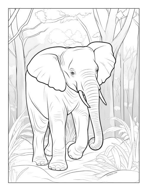 Elephant Coloring Pages 10