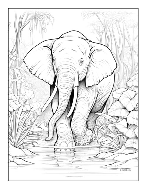 Elephant Coloring Pages 11