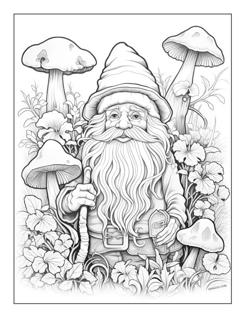 Gnomes Coloring Page 05