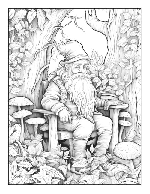 Gnomes Coloring Page 11