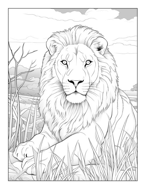 Simple Grayscale Lion Coloring Page Printable