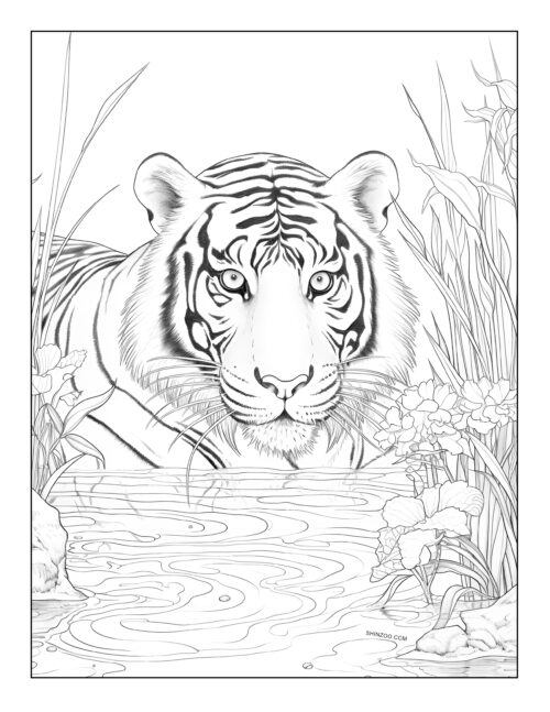 Tiger Coloring Page 01