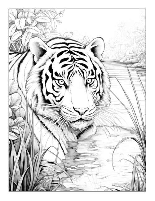 Tiger Coloring Page 03
