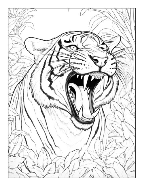 Tiger Coloring Page 05