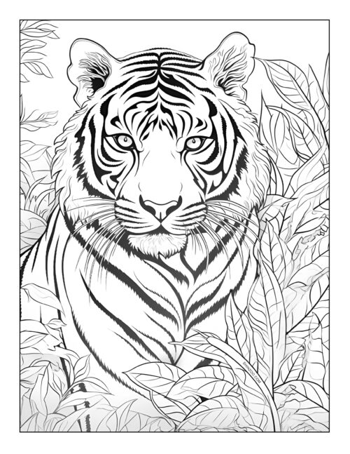 Tiger Coloring Page 10