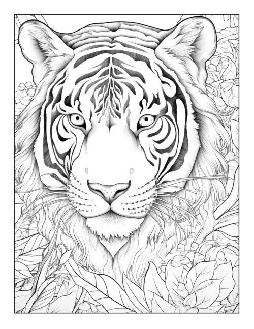 Tiger Coloring Page 11