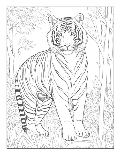 Tiger Coloring Page 13
