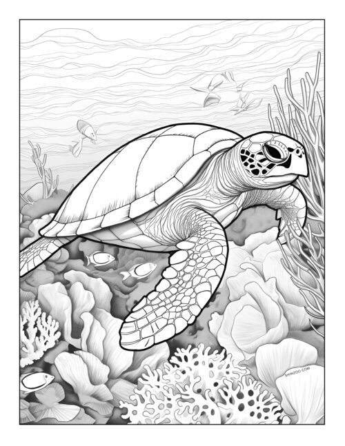 Turtle Coloring Page 08