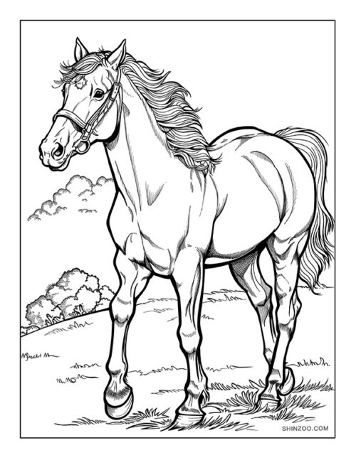 American Quarter Horse Coloring Page 03