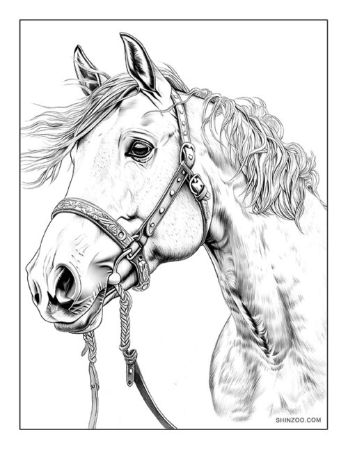 American Quarter Horse Coloring Page 05