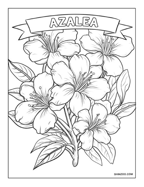 Azalea Flower Coloring Page 01