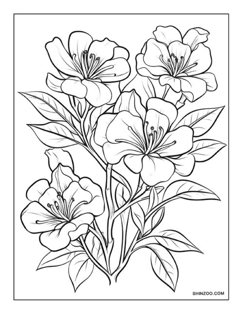 Azalea Flower Coloring Page 04