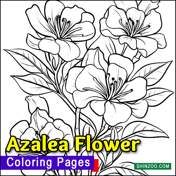 Azalea Flower Coloring Pages Printable
