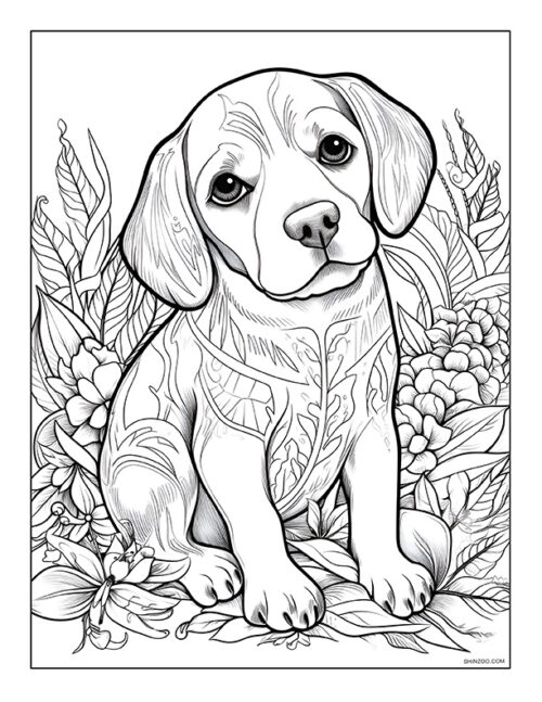 Beagle Coloring Page 01