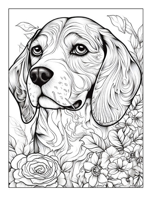 Beagle Coloring Page 02