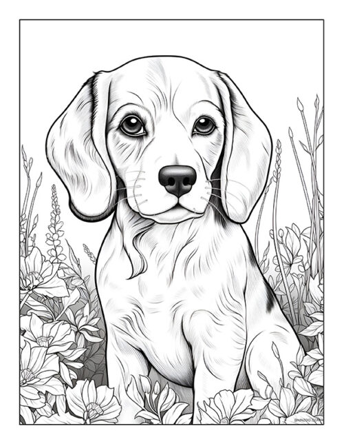 Beagle Coloring Page 04
