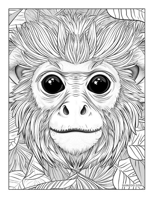 Capuchin Monkey Coloring Page 02