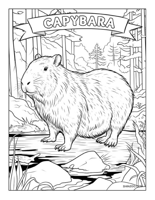 Capybara Coloring Page 01