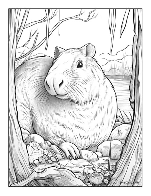 Capybara Coloring Page 06