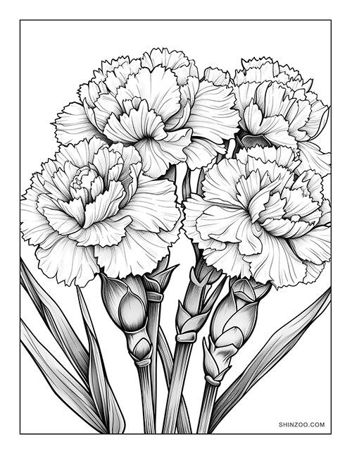 Carnation Flower Coloring Page 03