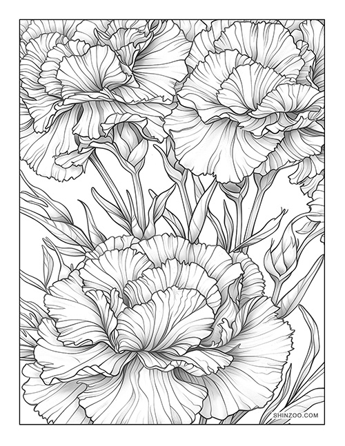 Carnation Flower Coloring Page 08