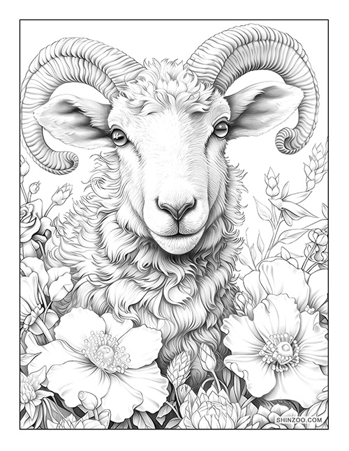 Cartoon Sheep Coloring Page 02