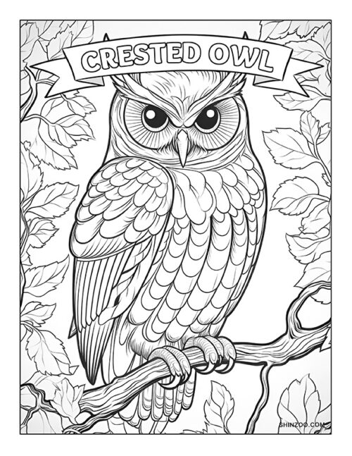 Crested Owl Coloring Page 01